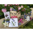 Presentask Blompress